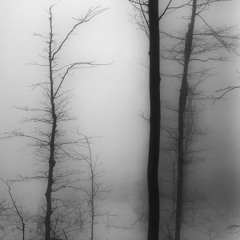 ‘silence’
