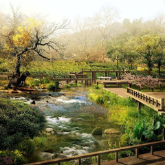 in the zen garden