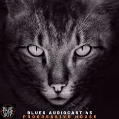 Blues Audiocast 45 ~ #ProgressiveHouse Mix