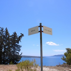 Let You Do This X Into My Life