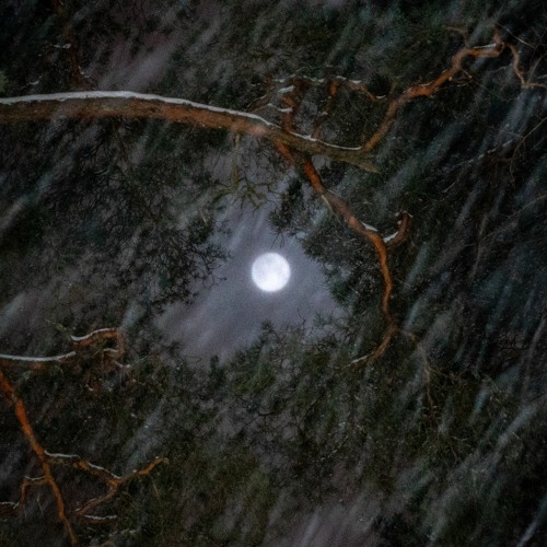 Fleetwood Mac - Rhiannon (Funkin' Dough Nuts Remix)