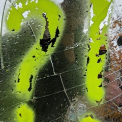 LYL Radio: Tanzen und Denken 10 - Parris and Coline Cornélis