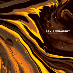 David Zikarsky  - Fiebertraum