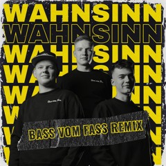 01099 x RIN - Wahnsinn (Bass vom Fass Remix)
