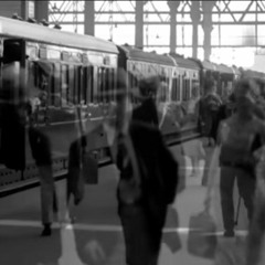 Stranger Than Paradise - Mook Quartet