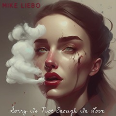Mike Liebo - Sorry Is Not Enough In Love