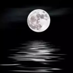 moonlight x whale of styx