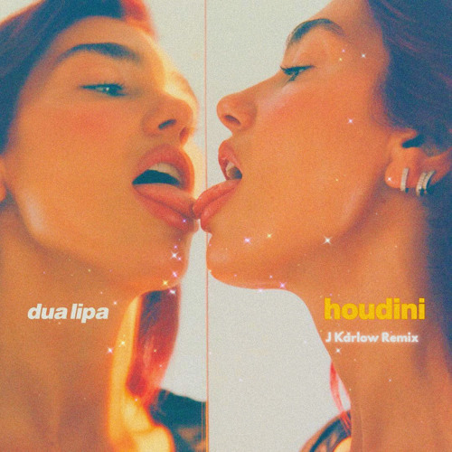 Dua Lipa - Houdini (Remix)