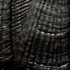 mcb4 - Conclusion (prod by Hipster Music)