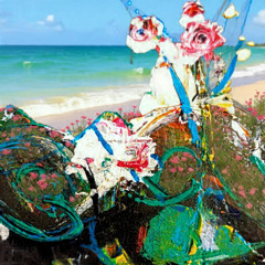 Pot. Neon y Dimorphoteca Primavera 2025