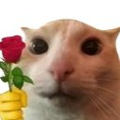 BBBBBBBBBBBBBBBBBBBBBBBBBBBBBBBBBBBBBBBBBBBBBBBBBBBBBBBBBBBBBBBBBBBBBBB