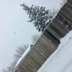 First Snow