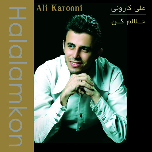 shaghayegh ali karooni