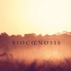Astralage - Biocœnosis (Original Mix)