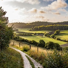 Countryside