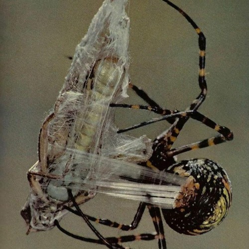 The Sound of Everything_part5