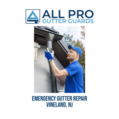 Emergency gutter repair Vineland, NJ
