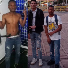 4,7 los animales y.f.j. la casa en llamast