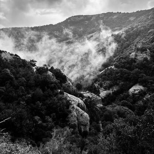 Citybugs// SektorEvolution