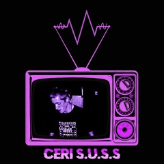 Interruption Mix Series 020: Ceri S.U.S.S