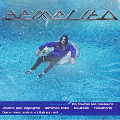 Demessis - Bouteille