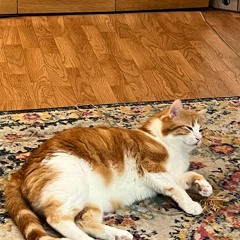 Slow Pulp - Slugs - reprise 09092025