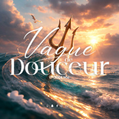 DJ 113 - Vague De Douceur 6 (VDD6)