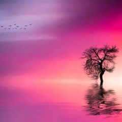 [Free] Solitude(Ambient Psychedelic Trap Type beat)