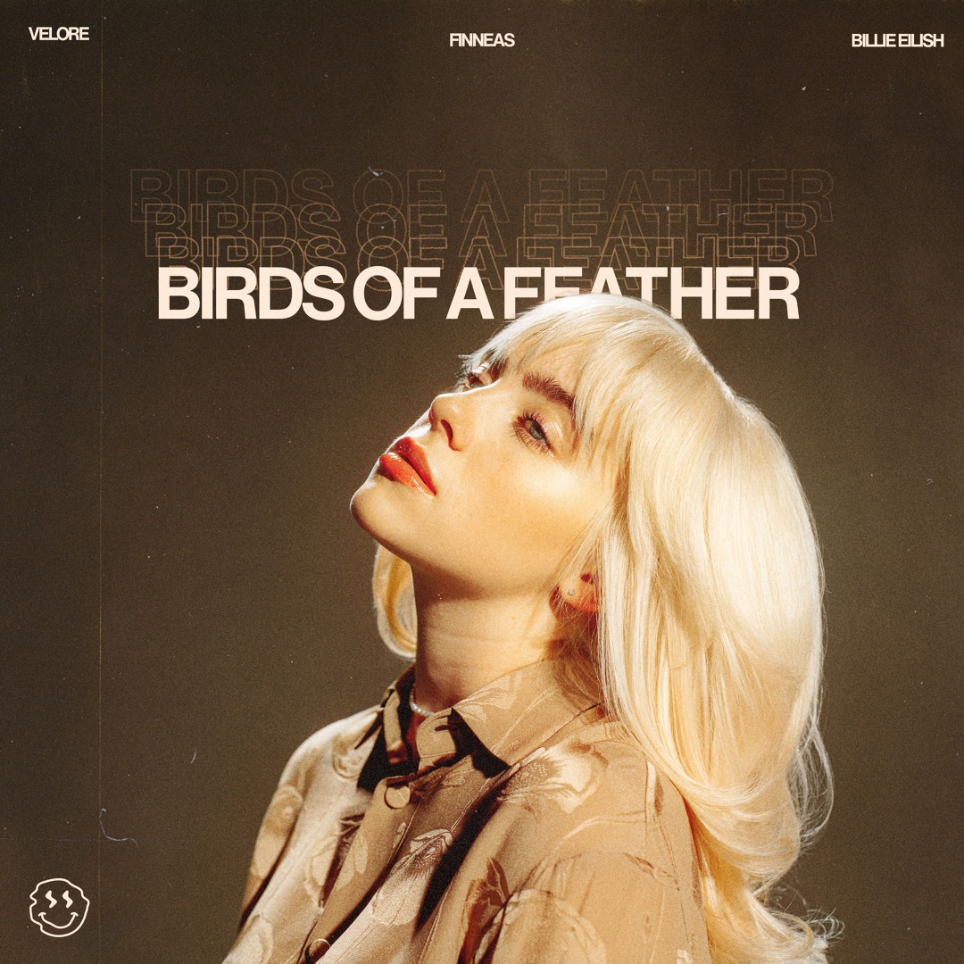 Stream Billie Eilish - BIRDS OF A FEATHER (VELORE Remix) by