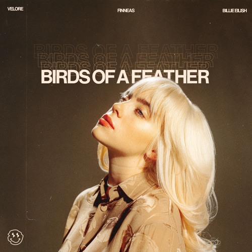 Amazon.com: Birds Of A Feather (Limited Translucent Green 7