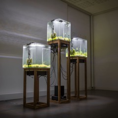 SYMBIOSIUM #2_Paul Duncombe_Shelters