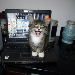 .wav + buldojke (ginseng)