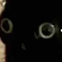 FEDERALMANE - DOM1N1C DISS BUT FOR REAL THIS TIME FUCK THAT OPP