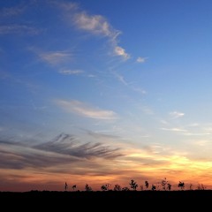 thursday ambient mix