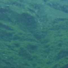 線形時間の批判