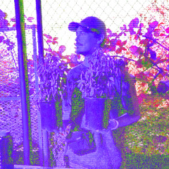 basscoast-2026-application