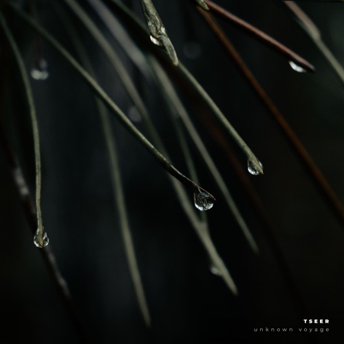 AF Premiere: Tseer - Misty Wood [Atmos.lab][OUT!!19.11.24]