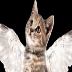 Vanilla - Kitty Gore