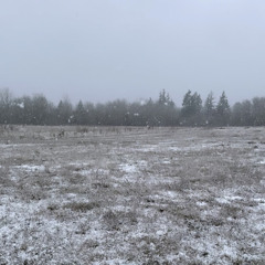 Izaya tiji - ridin round prod. souljaspirits & gxmini (snippet)