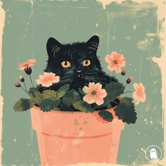 w/ Novvel - Primrose