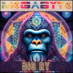Megabyte & the Mysterious Monkeys: Big Ry [90s 00s Hard House]