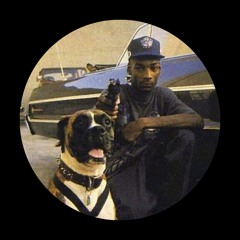 Snoop Dogg - Back Up (habicht edit)