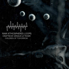 Samples Pack - Raw Atmospheres Loops (Demo)