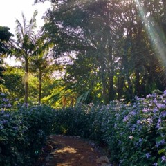 03.12.2022 - Livro BOA NOVA - Lição JOANA DE CUSA (5)