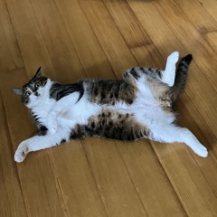気ままな方