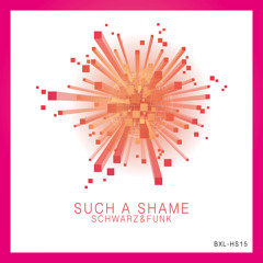 Such a Shame (Nu Disco Mix Radio Cut)