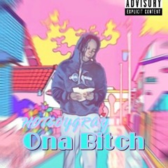 HOT60YGRAY - ONA BITCH