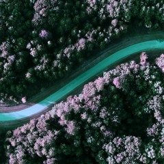 Jugol - The Last Of Us [Buddha_03]