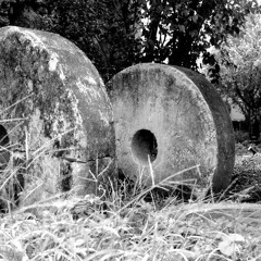 Aos Meus Avós- Tainá Santos