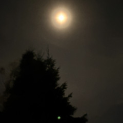 INTEGRITY ALERT by Die TanzKraft